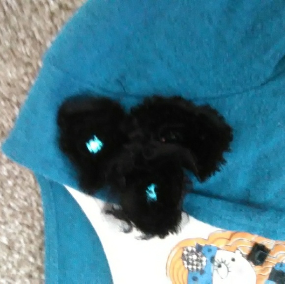 Blue Long Sleeved Shirt| Person And Flower - Picture 3 of 4